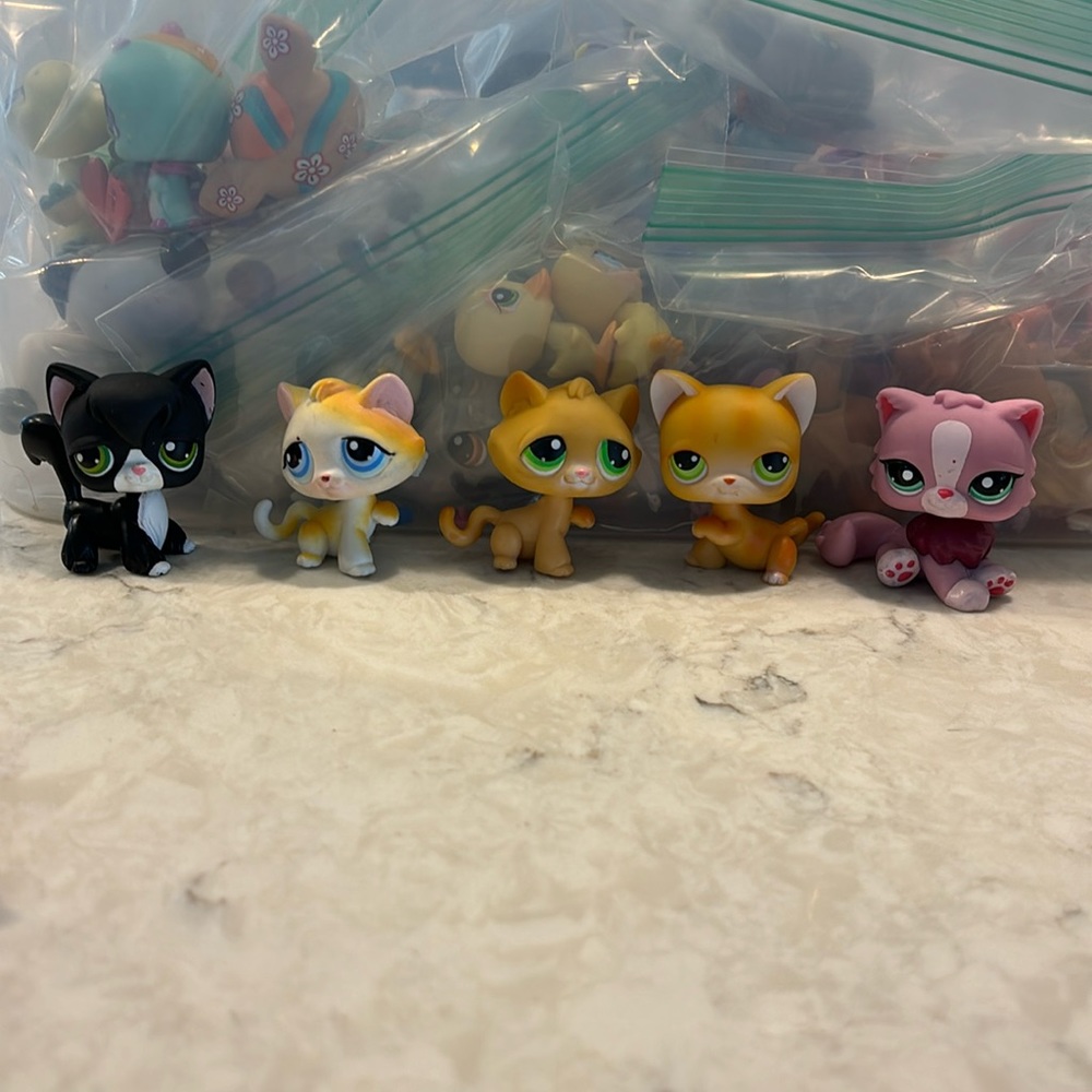 LPS cats
